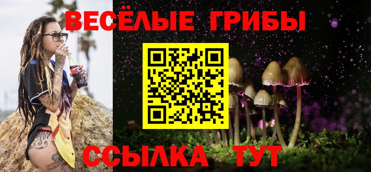 Галлюциногенные грибы ЛСД Саров